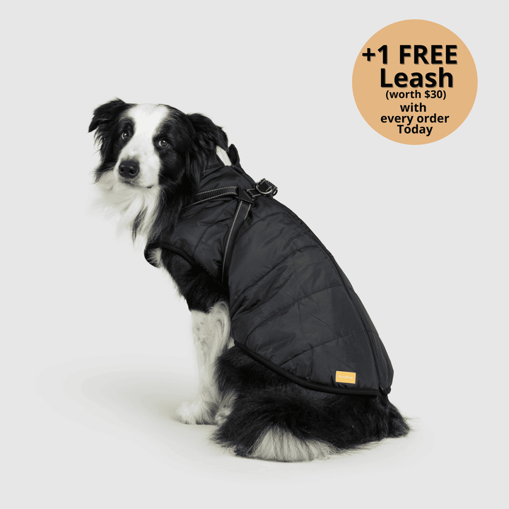 Prifinity™ 3-in-1 Dog Jacket – Waterproof, Warm, and Windproof Protection