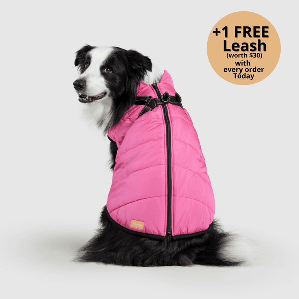 Prifinity™ 3-in-1 Dog Jacket – Waterproof, Warm, and Windproof Protection