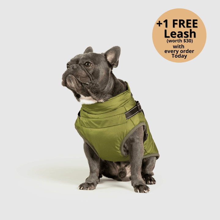 Prifinity™ 3-in-1 Dog Jacket – Waterproof, Warm, and Windproof Protection