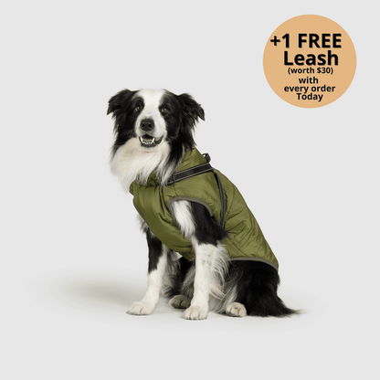 Prifinity™ 3-in-1 Dog Jacket – Waterproof, Warm, and Windproof Protection