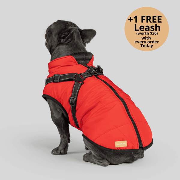 Prifinity™ 3-in-1 Dog Jacket – Waterproof, Warm, and Windproof Protection