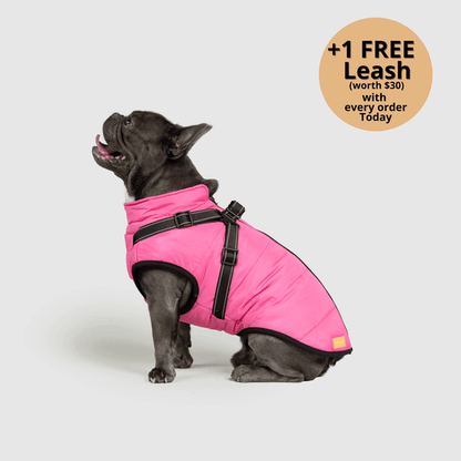 Prifinity™ 3-in-1 Dog Jacket – Waterproof, Warm, and Windproof Protection