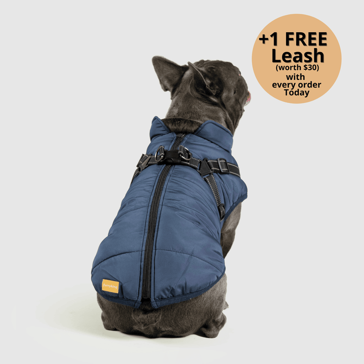 Prifinity™ 3-in-1 Dog Jacket – Waterproof, Warm, and Windproof Protection