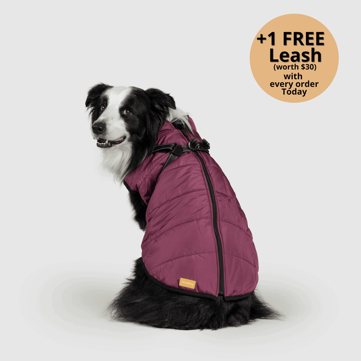 Prifinity™ 3-in-1 Dog Jacket – Waterproof, Warm, and Windproof Protection