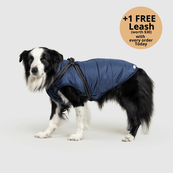Prifinity™ 3-in-1 Dog Jacket – Waterproof, Warm, and Windproof Protection