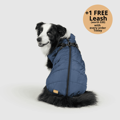 Prifinity™ 3-in-1 Dog Jacket – Waterproof, Warm, and Windproof Protection