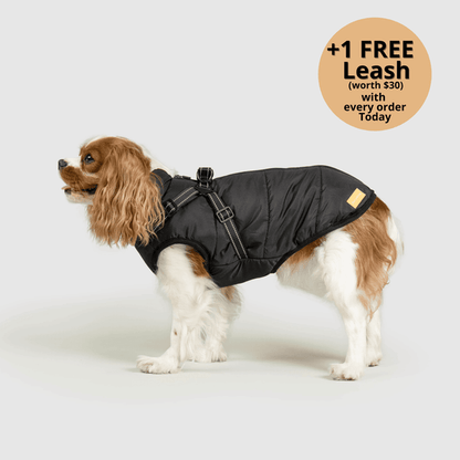 Prifinity™ 3-in-1 Dog Jacket – Waterproof, Warm, and Windproof Protection