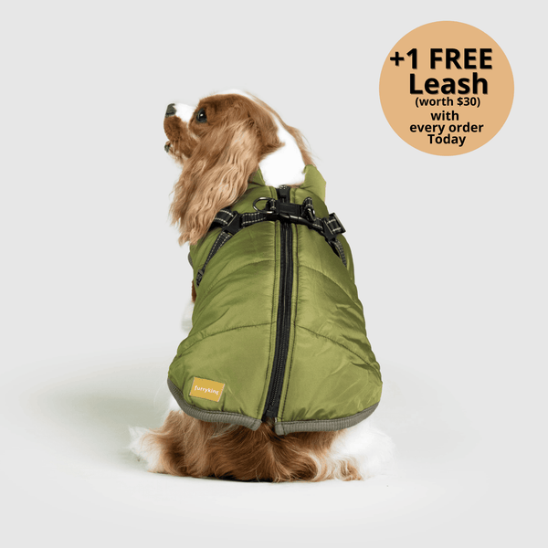 Prifinity™ 3-in-1 Dog Jacket – Waterproof, Warm, and Windproof Protection
