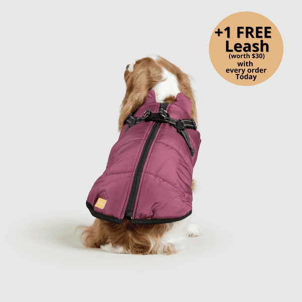 Prifinity™ 3-in-1 Dog Jacket – Waterproof, Warm, and Windproof Protection