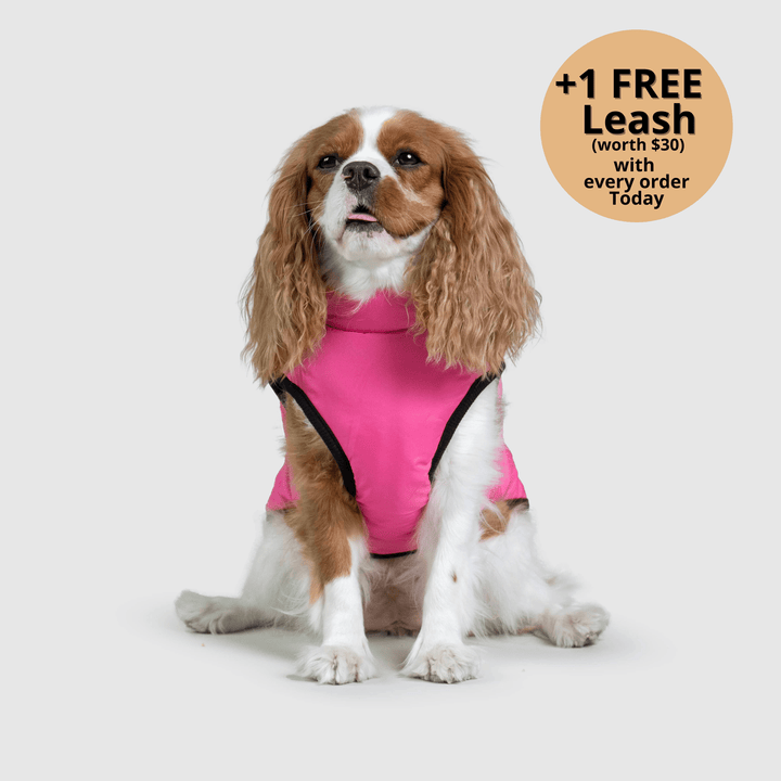 Prifinity™ 3-in-1 Dog Jacket – Waterproof, Warm, and Windproof Protection