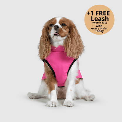 Prifinity™ 3-in-1 Dog Jacket – Waterproof, Warm, and Windproof Protection