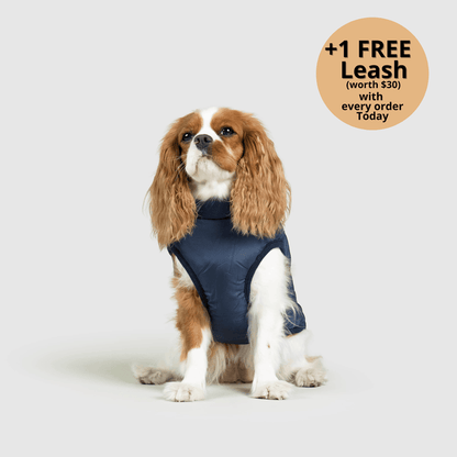 Prifinity™ 3-in-1 Dog Jacket – Waterproof, Warm, and Windproof Protection