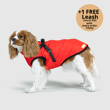 Prifinity™ 3-in-1 Dog Jacket – Waterproof, Warm, and Windproof Protection