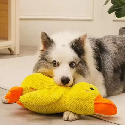 Irresistible Calming Duck – Keeps pups happy and stress-free!