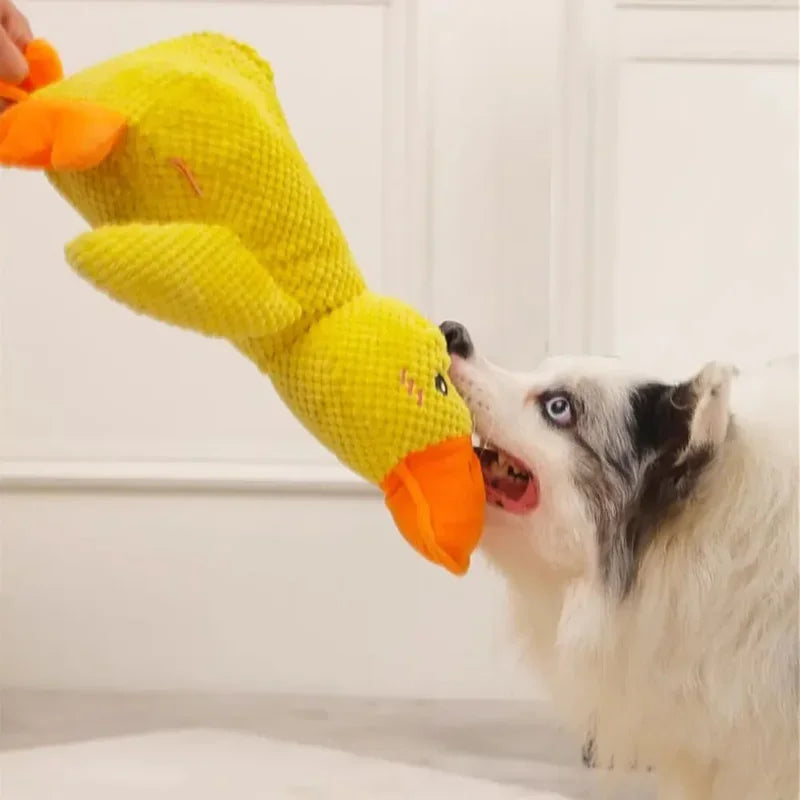 Irresistible Calming Duck – Keeps pups happy and stress-free!