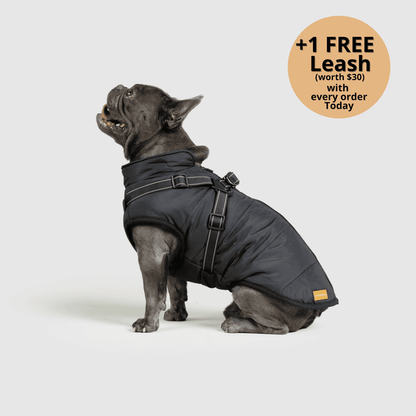 Prifinity™ 3-in-1 Dog Jacket – Waterproof, Warm, and Windproof Protection